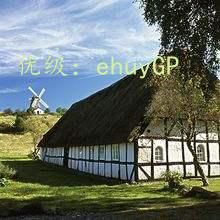 ޿